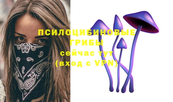 spice Абдулино