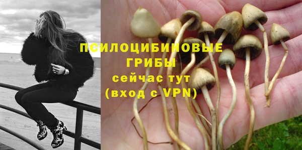 скорость Алексеевка
