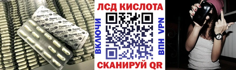 дарнет шоп  Дмитровск  ЛСД экстази кислота 