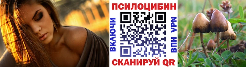 наркошоп  Дмитровск  Псилоцибиновые грибы GOLDEN TEACHER 